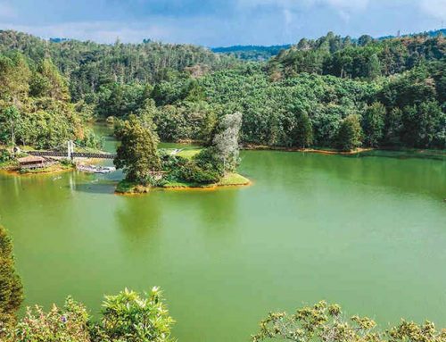 Arví Park in Medellín