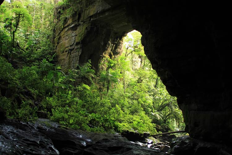 Cave of the Guácharos National Natural Park - How to get, camping areas and  restaurants