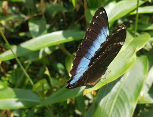 Paway Natural Reserve