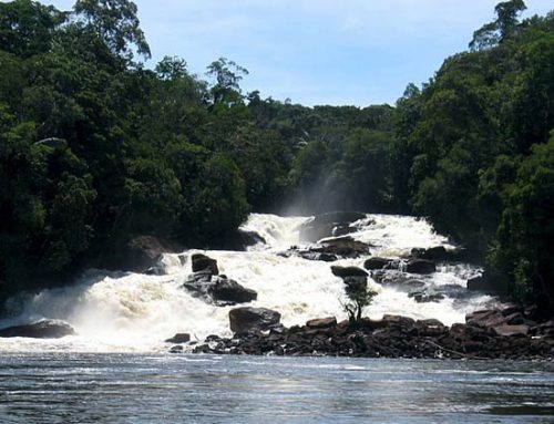 Cahuinarí National Natural Park