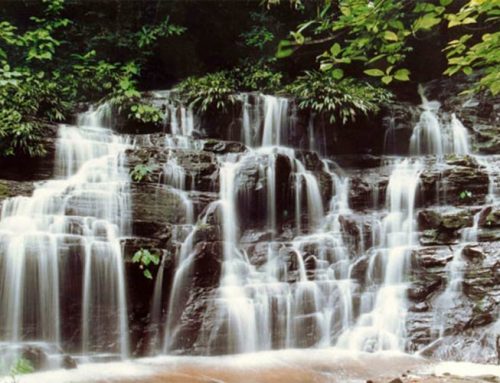 Katios National Natural Park