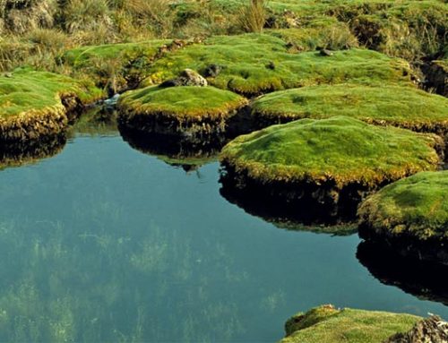 Puracé National Natural Park
