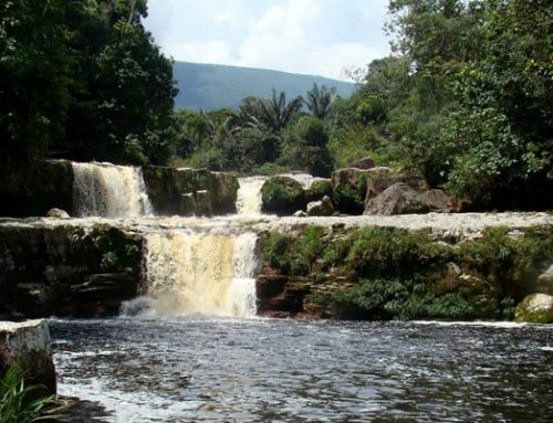 Tamá National Natural Park