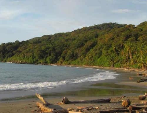 Gorgona National Park
