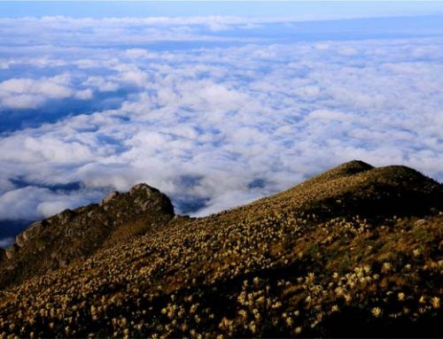 Paramo of the Sun, Antioquia