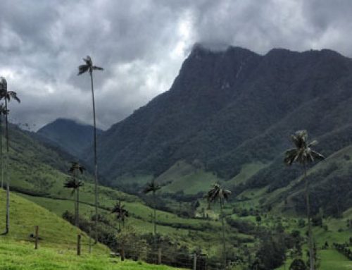 Valle del Cocora