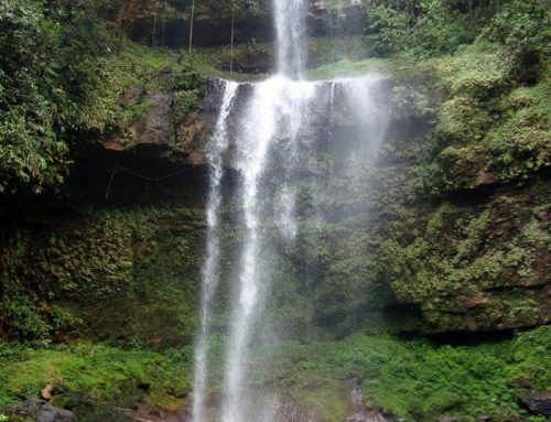 Fin del Mundo Natural Reserve